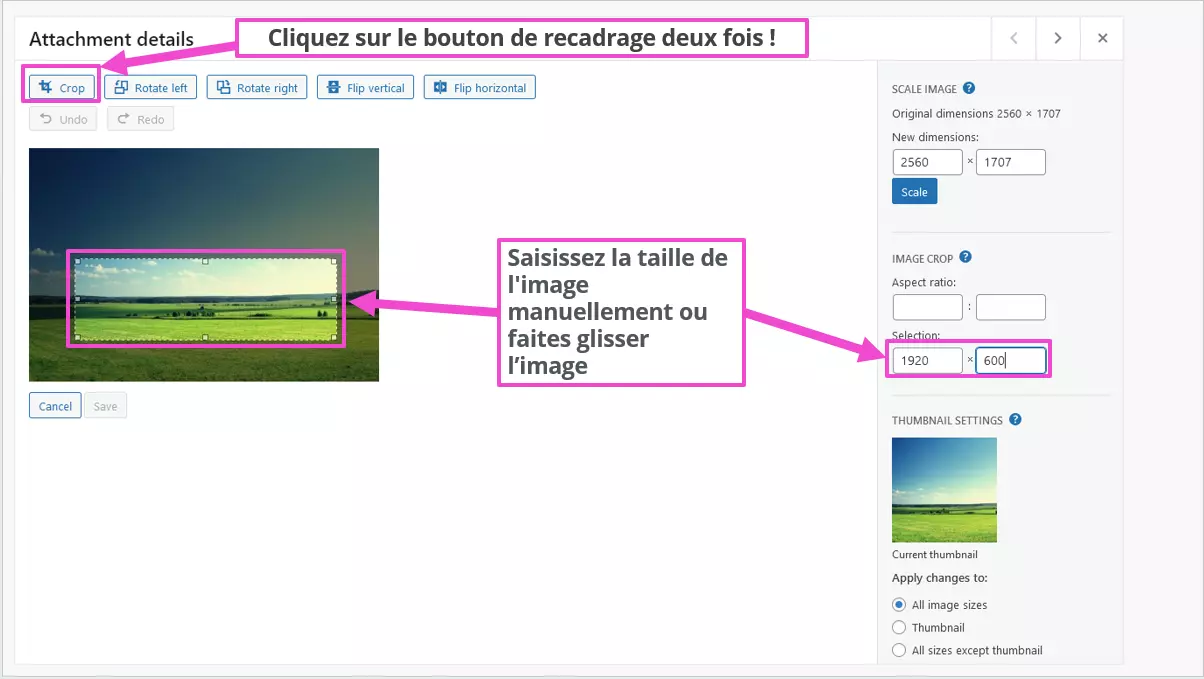 Définir la nouvelle taille des images dans la bibliothèque WordPress Image: Définir la nouvelle taille des images dans la bibliothèque WordPress