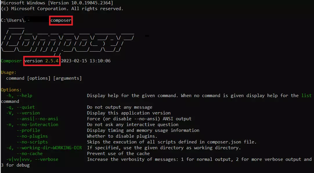 Terminal après avoir saisi la commande « composer » Image: Terminal après avoir saisi la commande « composer »