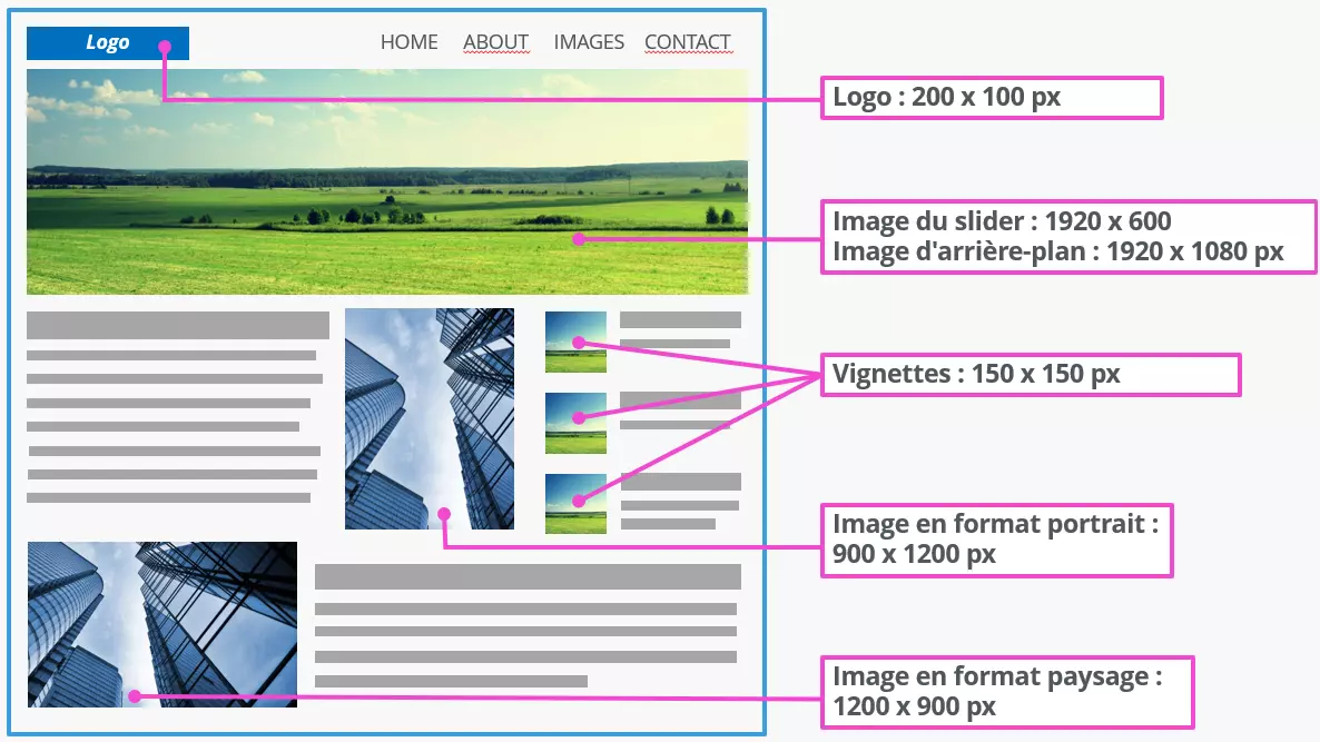 Tailles d’image fréquemment utilisées dans WordPress Image: Tailles d’image fréquemment utilisées dans WordPress